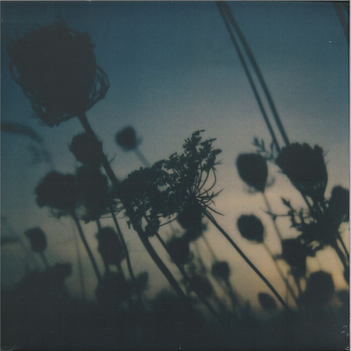 Awakened Souls  &  Benoit Pioulard  &  Zake - My Heart My Beloved LP | Past Inside the Present US (PITPZD35)