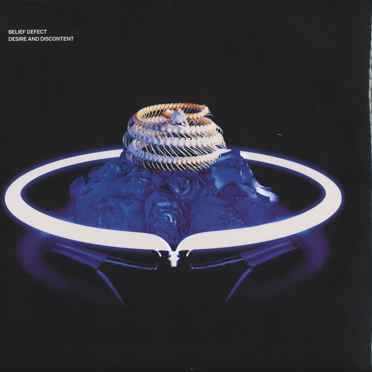 Belief Defect - Desire and Discontent 2X12" | Raster (R-M212-2) - main