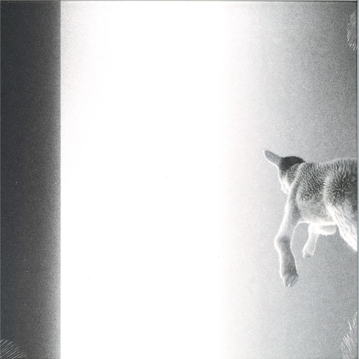 Panoram - Keep Looking Where The Light Comes From LP | Running Back Incantations (RBINC010LP)