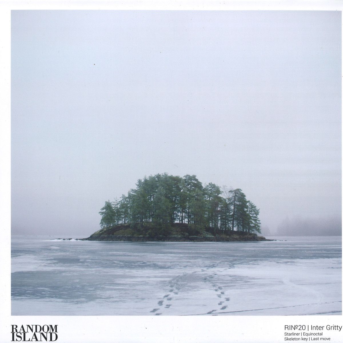 Inter Gritty - RINO20 | Random Island (RINO20) - main