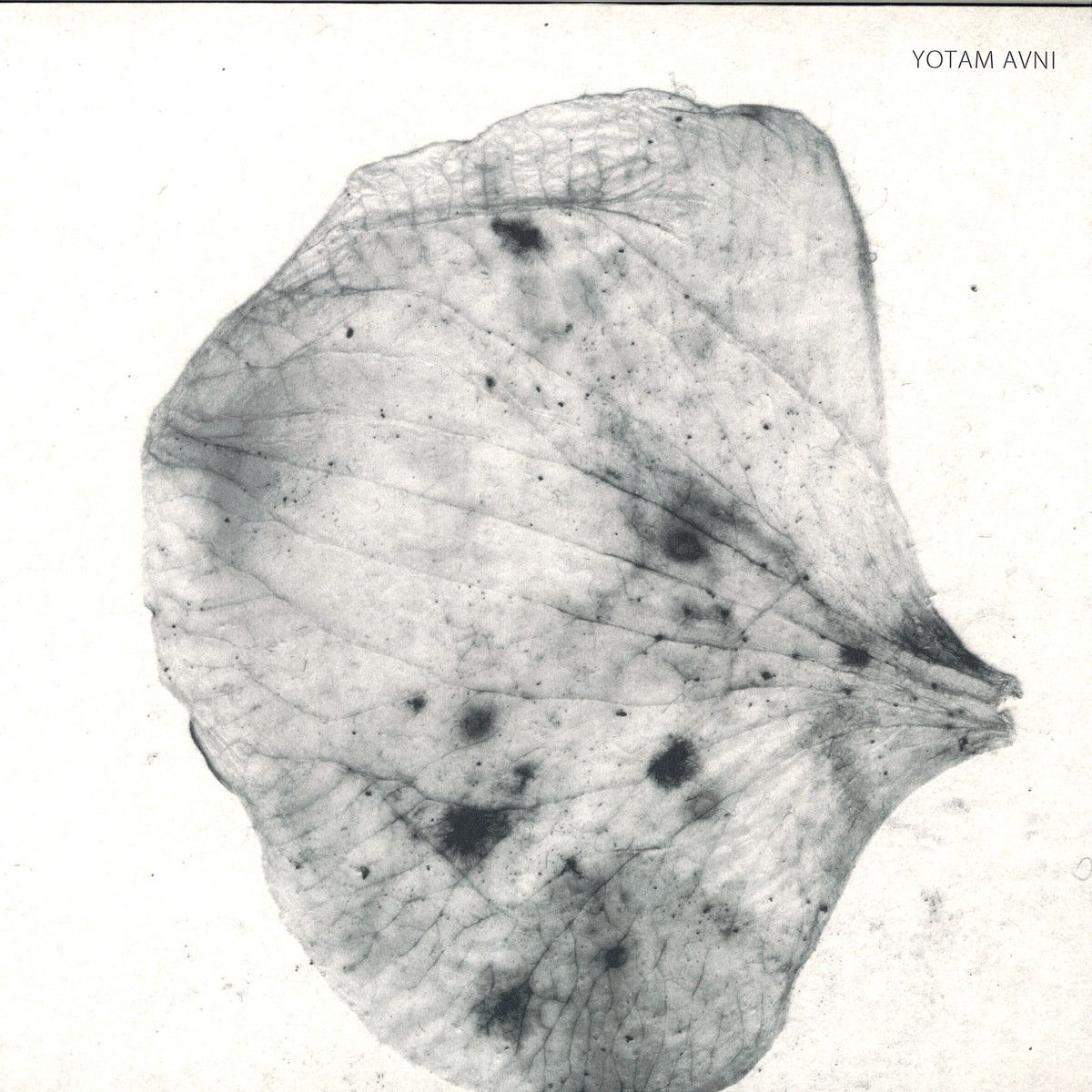 Yotam Avni - Perlude To Dybbuk | Stroboscopic Artefacts (SA032) - main