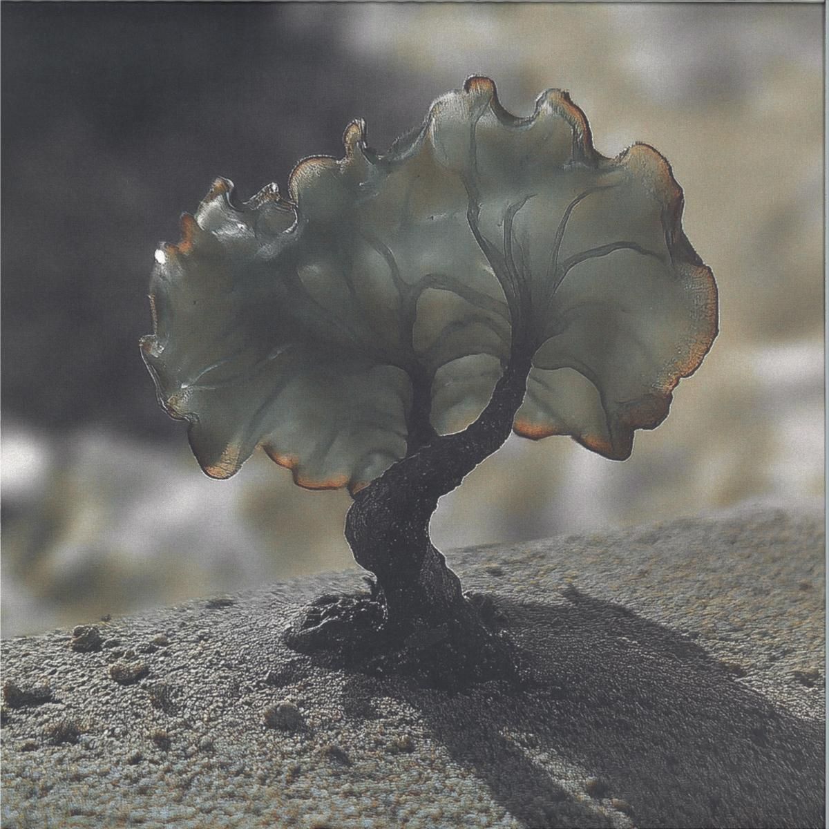 Justin Berkovi - SMV013 | Somov Records (SMV013) Justin Berkovi - SMV013 | Somov Records (SMV013)