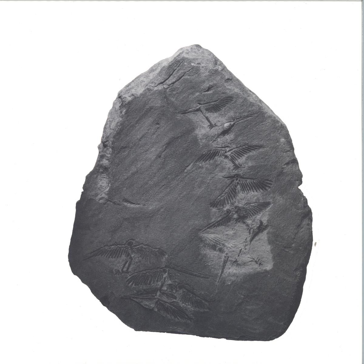 Ignez - Remixes | Somov Records (SMV014) Ignez - Remixes | Somov Records (SMV014)