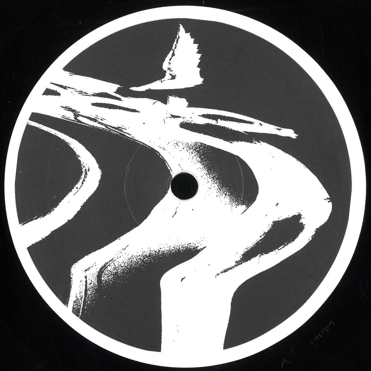 The Chronics - Voices From The Void | Stützpunkt Records (SP009) - main The Chronics - Voices From The Void | Stützpunkt Records (SP009) - main