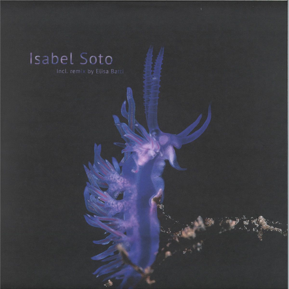 Isabel Soto - Habitat Alteration | Sine Space 7 (SS7-013EP) - main Isabel Soto - Habitat Alteration | Sine Space 7 (SS7-013EP) - main