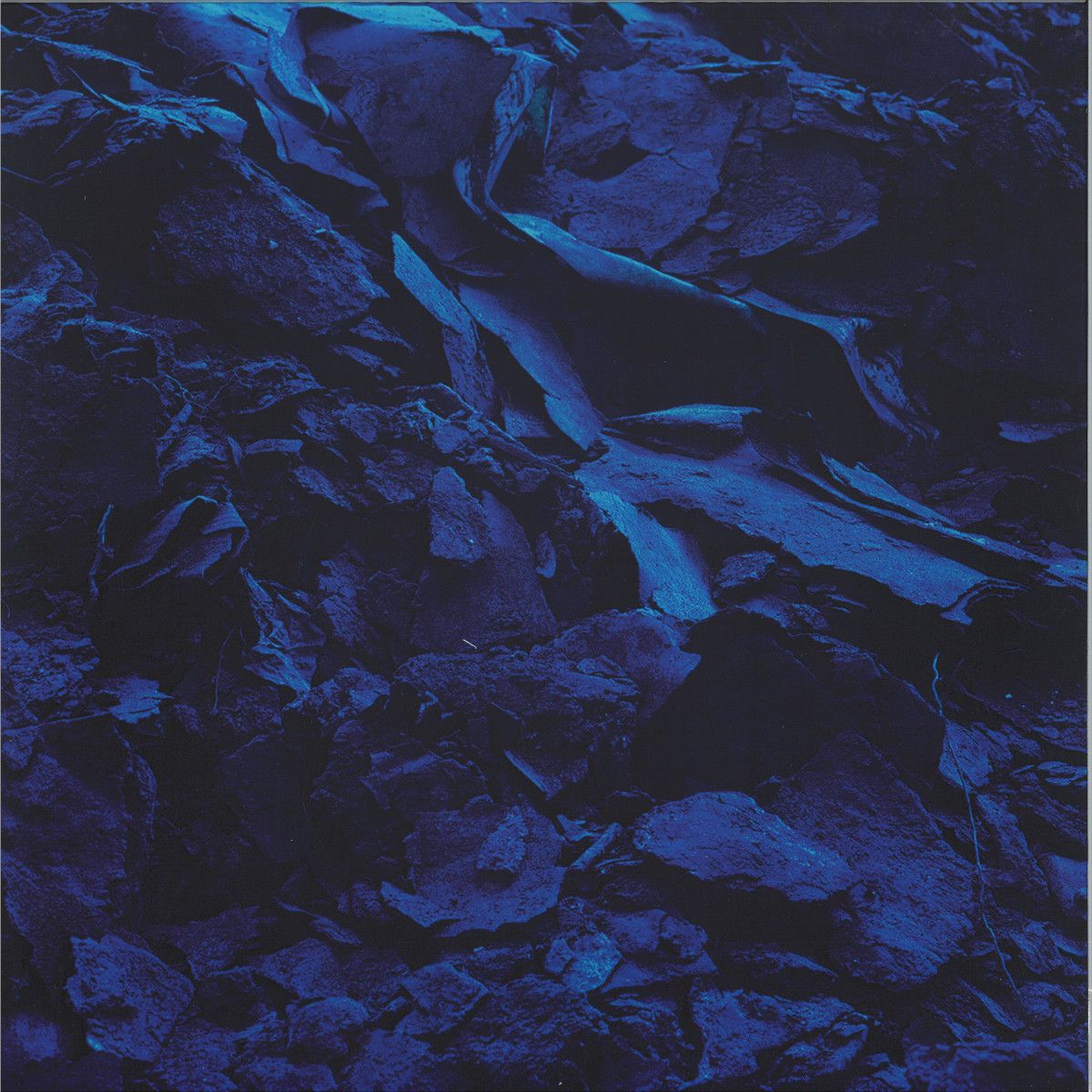 Swarm Intelligence - The Shattered Self | Subverted (SUB05) - main Swarm Intelligence - The Shattered Self | Subverted (SUB05) - main