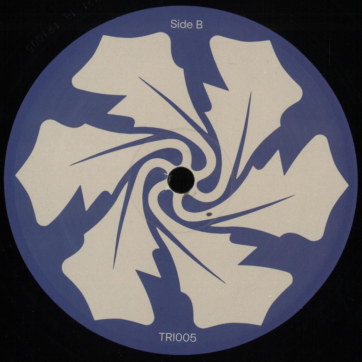 ELEKTRASH - En El Fondo Una Bestia | The Rose Island (TRI005) - main