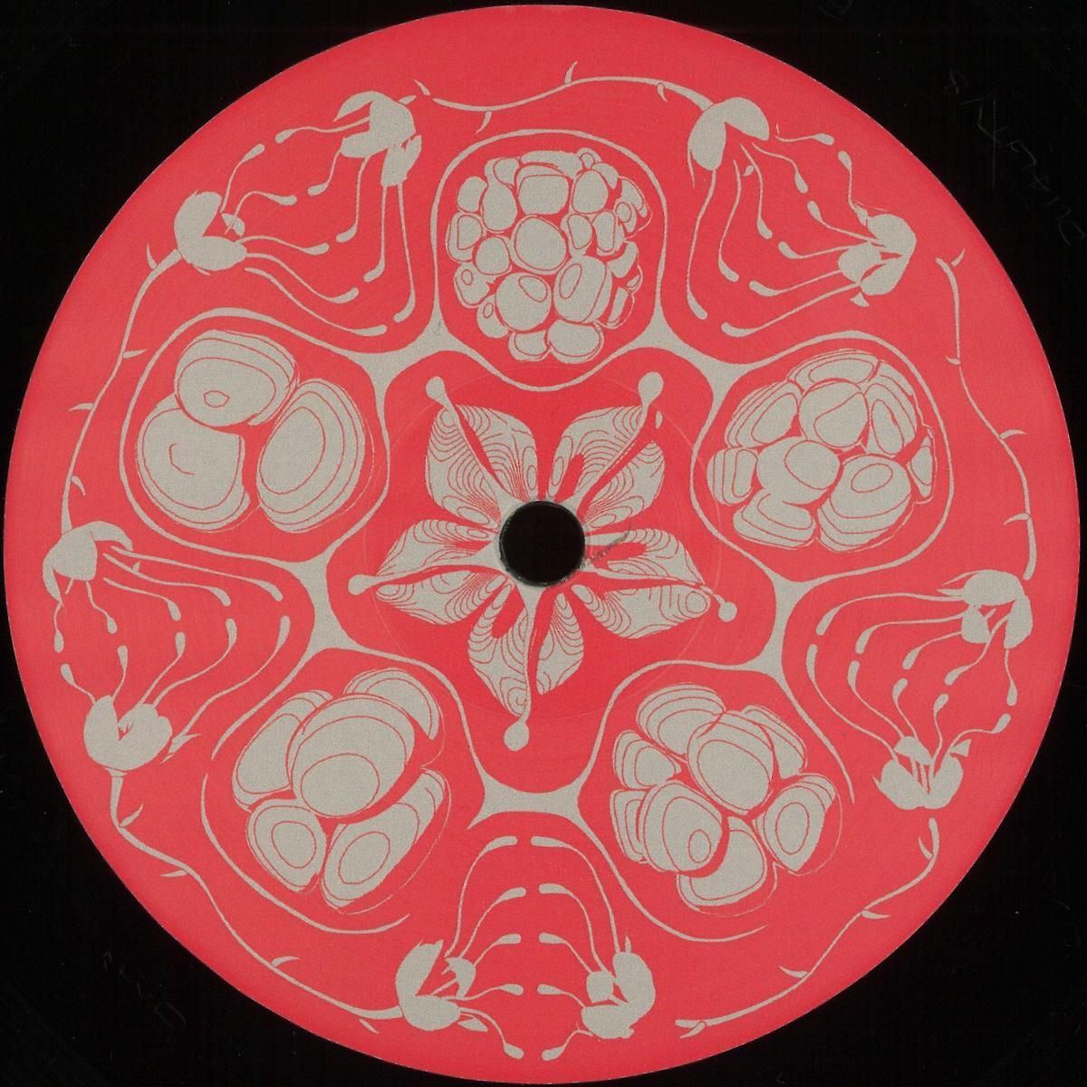 Framboisier - Planetary Vision EP | Duality Trax (DUALITY8) - main