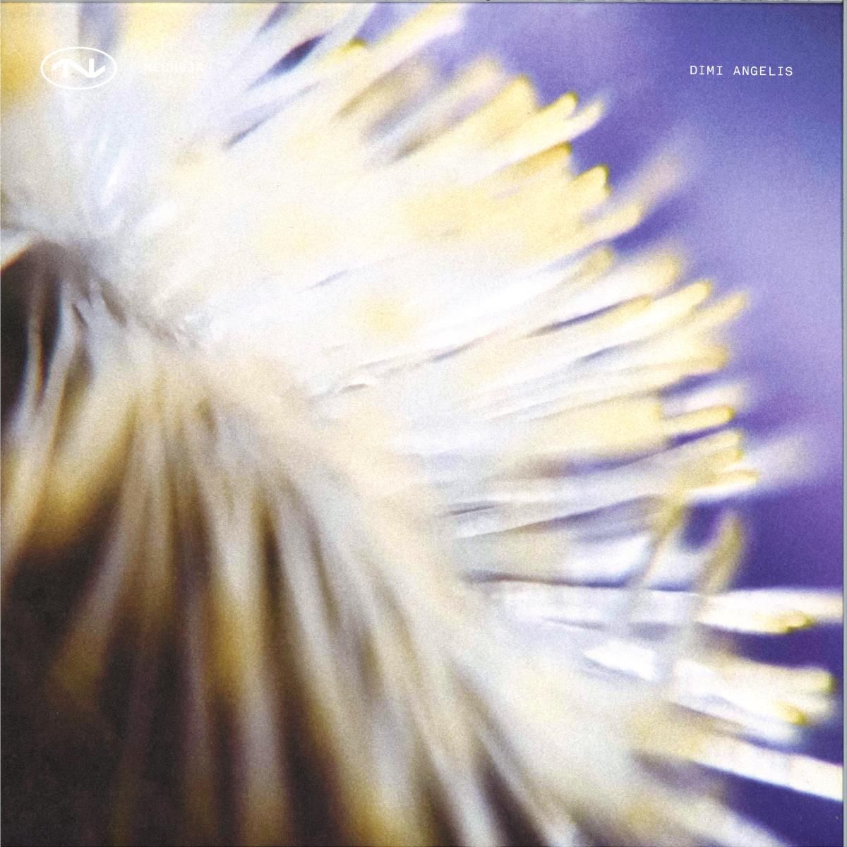 Dimi Angelis - NECH034 | TECHNO Records (NECH034)