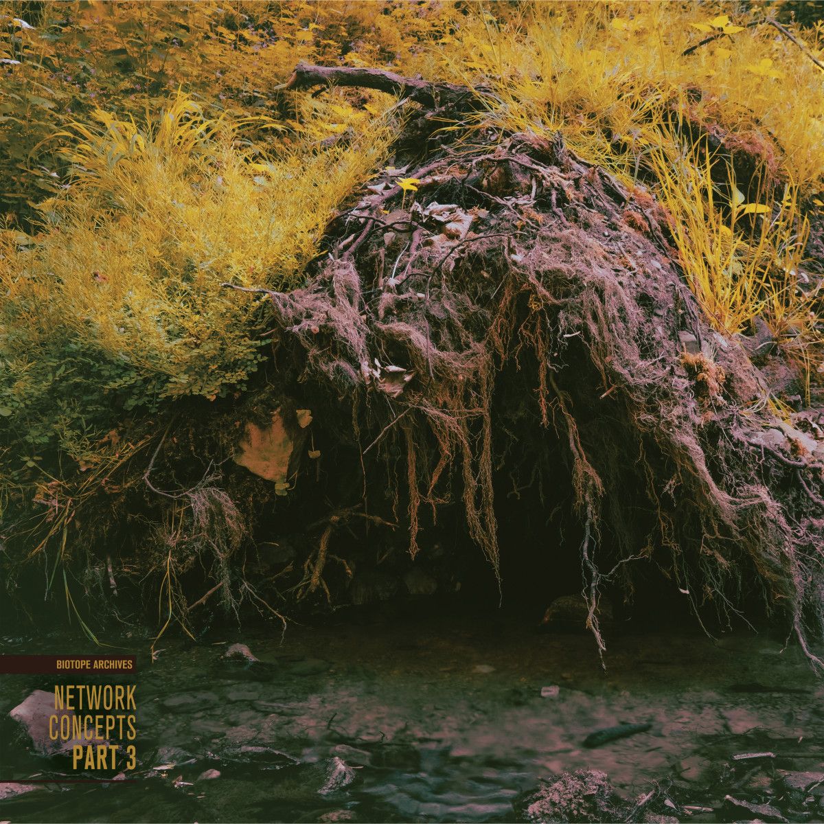 Various - Network Concepts part 3 | Biotope Archives (BIOTOPE03) Various - Network Concepts part 3 | Biotope Archives (BIOTOPE03)