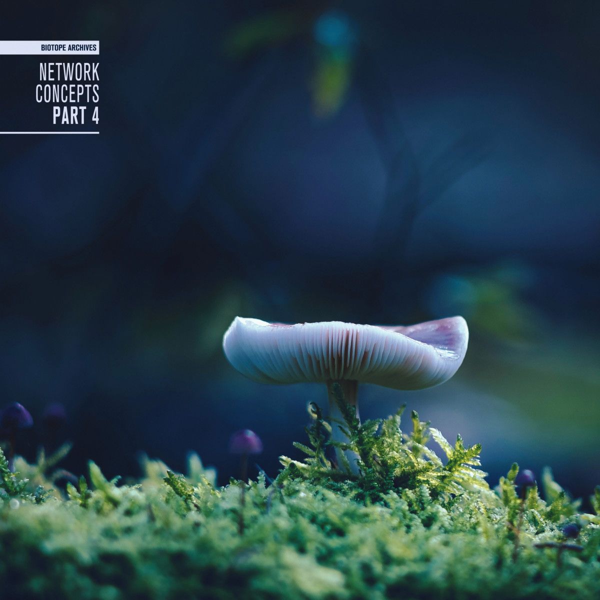 Various - Network Concepts Part 4 | Biotope Archives (BIOTOPE04) Various - Network Concepts Part 4 | Biotope Archives (BIOTOPE04)