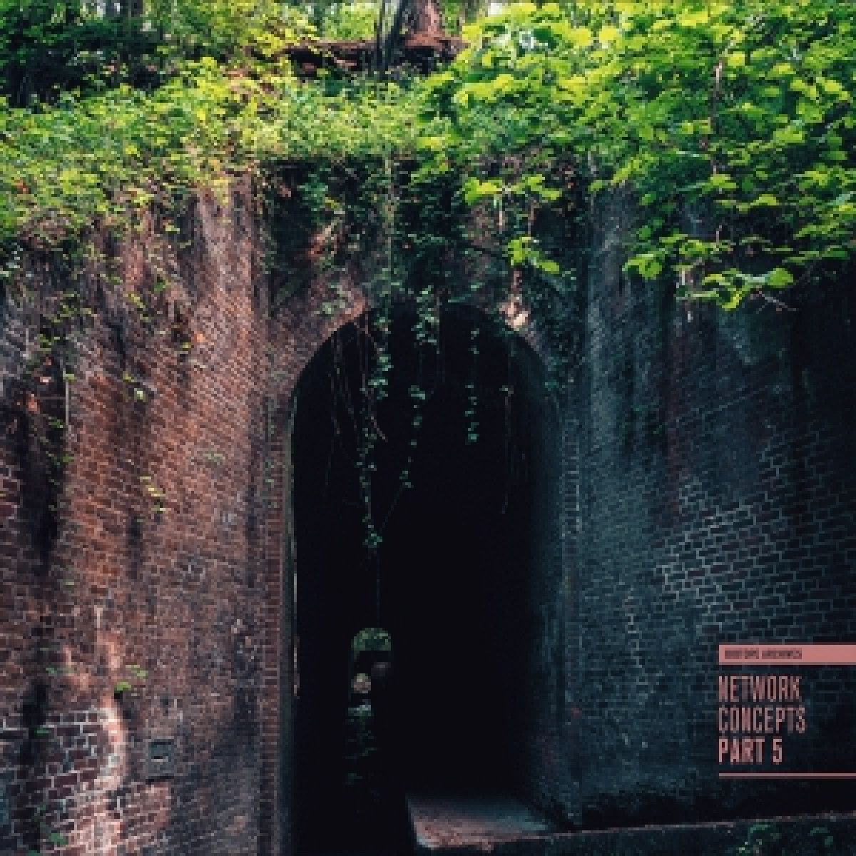 - Network Concepts Part 5 | Biotope Archives (BIOTOPE05) - Network Concepts Part 5 | Biotope Archives (BIOTOPE05)