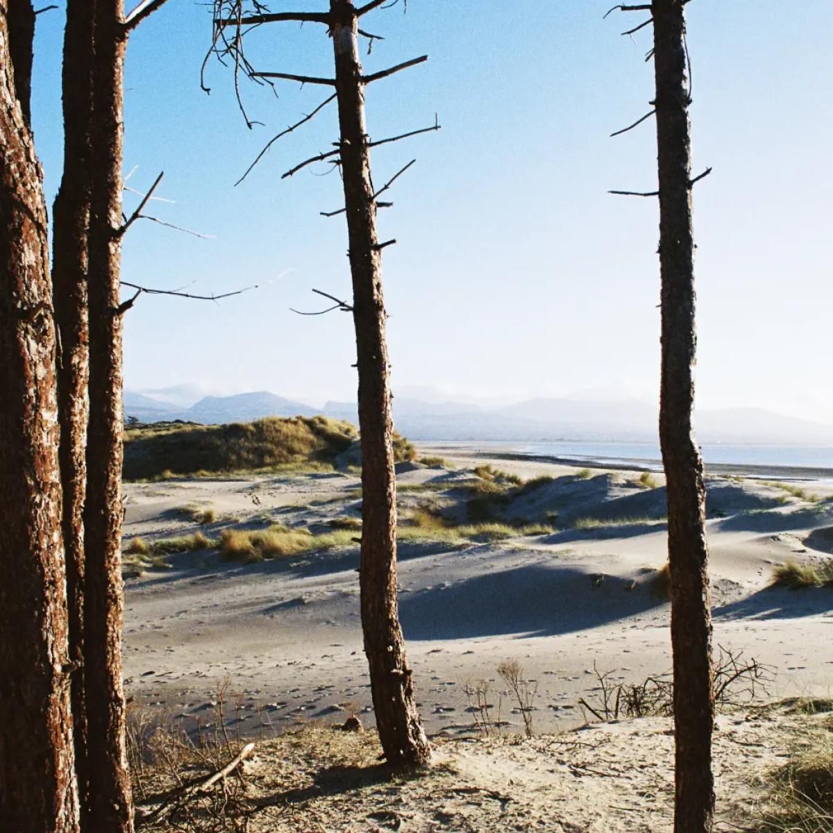 Getdown Services - Your Medal's In The Post / Primordial Slot Machine | Breakfast Records (BR074LPBL) Getdown Services - Your Medal's In The Post / Primordial Slot Machine | Breakfast Records (BR074LPBL)