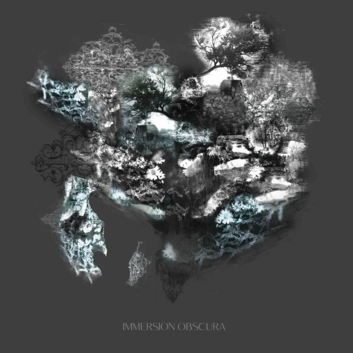 Tvtm & The Valley & The Mountain & Jo Rad Silver - Immersion Obscura | Central Scientific (CS100) Tvtm & The Valley & The Mountain & Jo Rad Silver - Immersion Obscura | Central Scientific (CS100)