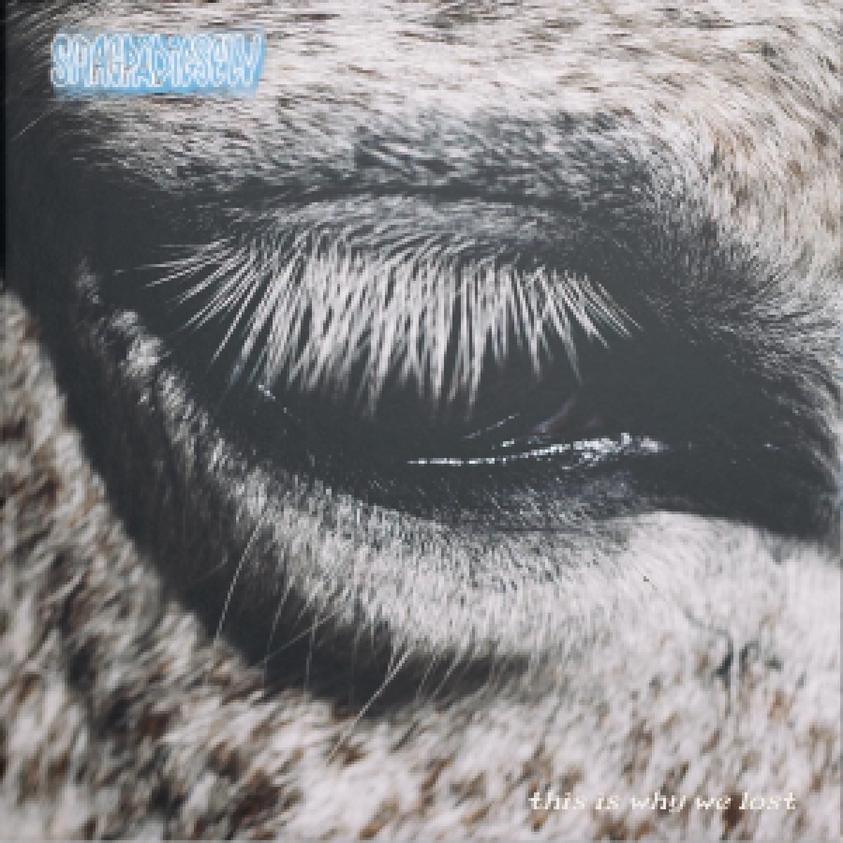 Smag På Dig Selv - This Is Why We Lost LP | Def Presse (DFPR35LP) - main Smag På Dig Selv - This Is Why We Lost LP | Def Presse (DFPR35LP) - main