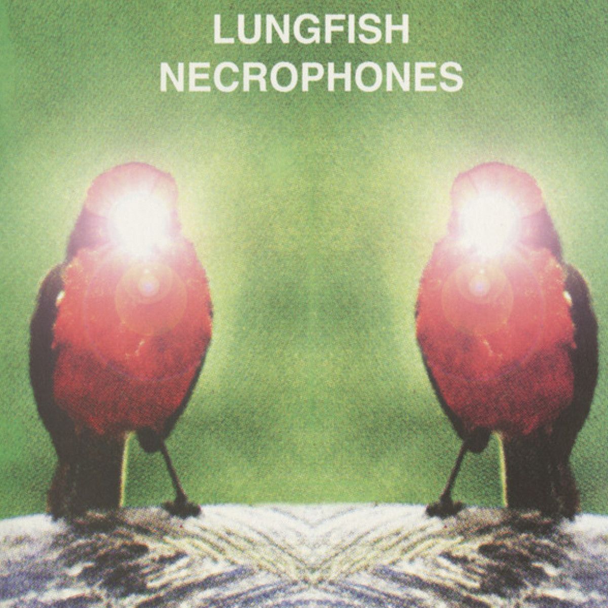 Lungfish - Necrophones | Dischord Records (DIS119V)