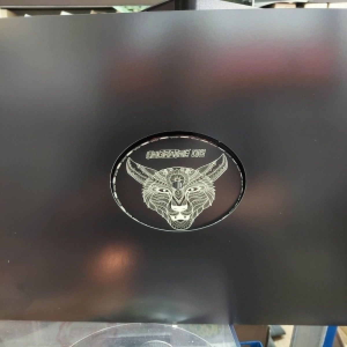 Baarek  &  Korus - Goosebump | Engraine (ENGRAINE6)