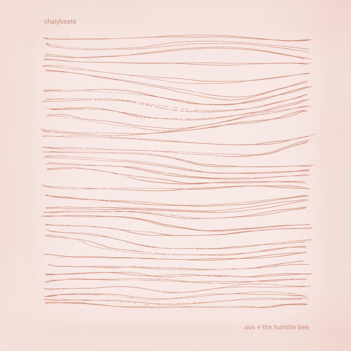 aus & The Humble Bee - Chalybeate LP | flau (FLAU109LP) - main aus & The Humble Bee - Chalybeate LP | flau (FLAU109LP) - main