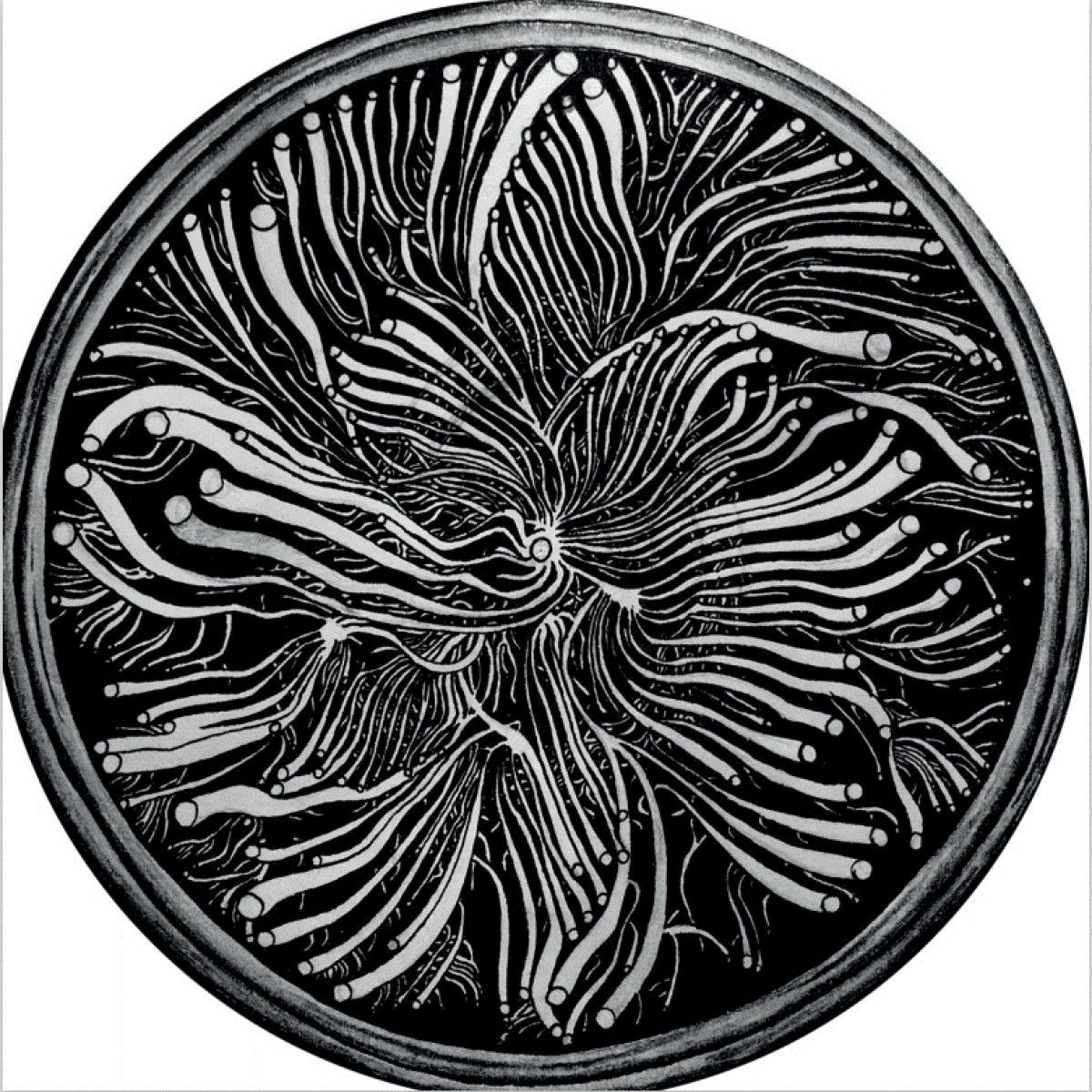 Various - Elektr'home EP | Inner Entropy (IE01)