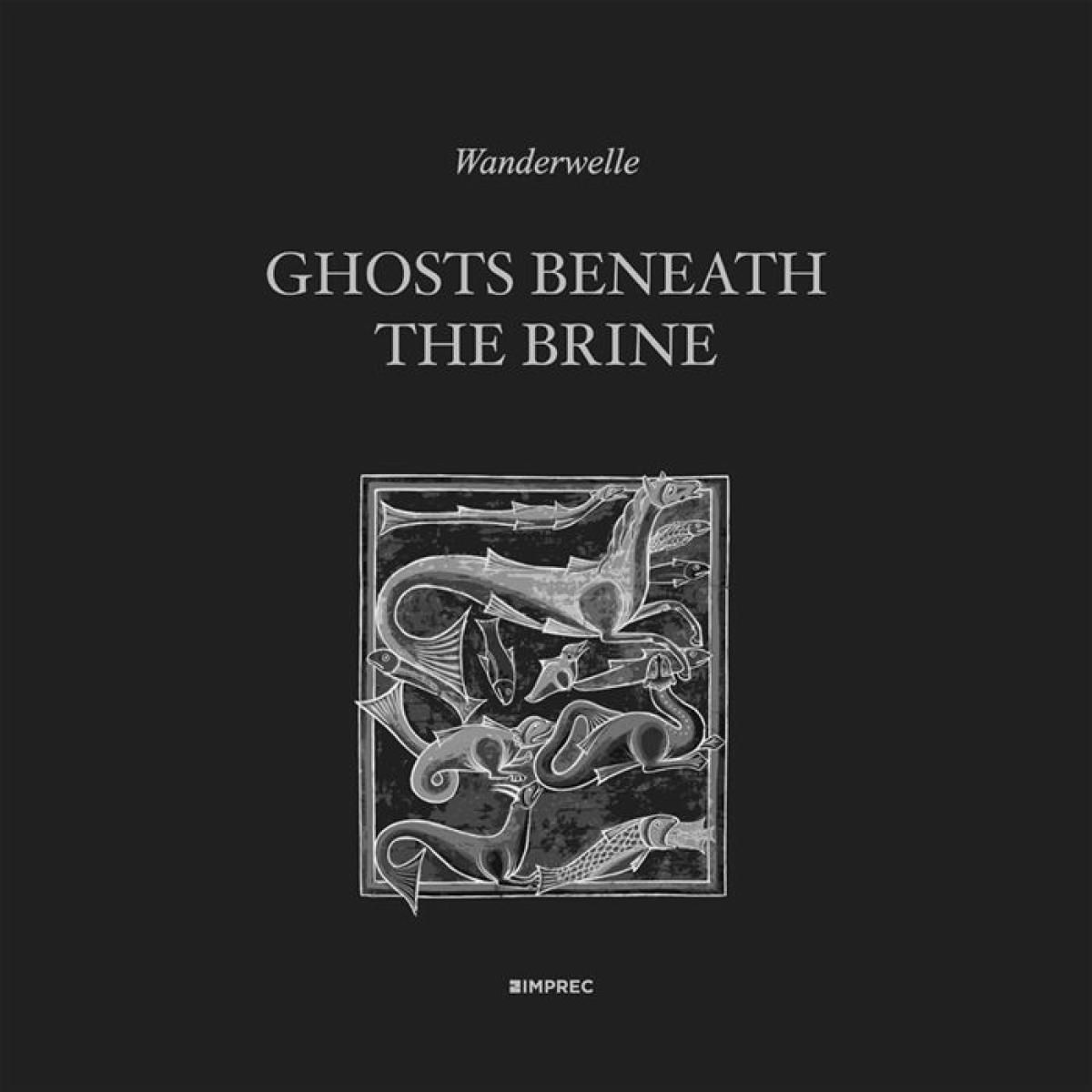 Wanderwelle - Ghosts Beneath The Brine | Important Records (IMPREC542) Wanderwelle - Ghosts Beneath The Brine | Important Records (IMPREC542)
