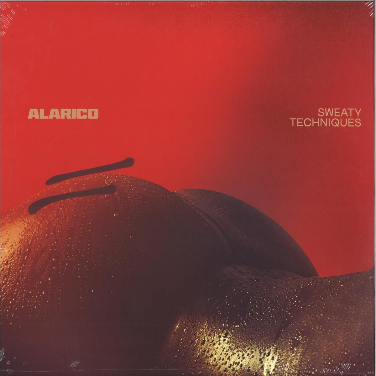 Alarico - Sweaty Techniques 2x12" | Key Vinyl (KEY049-KEYLP05)