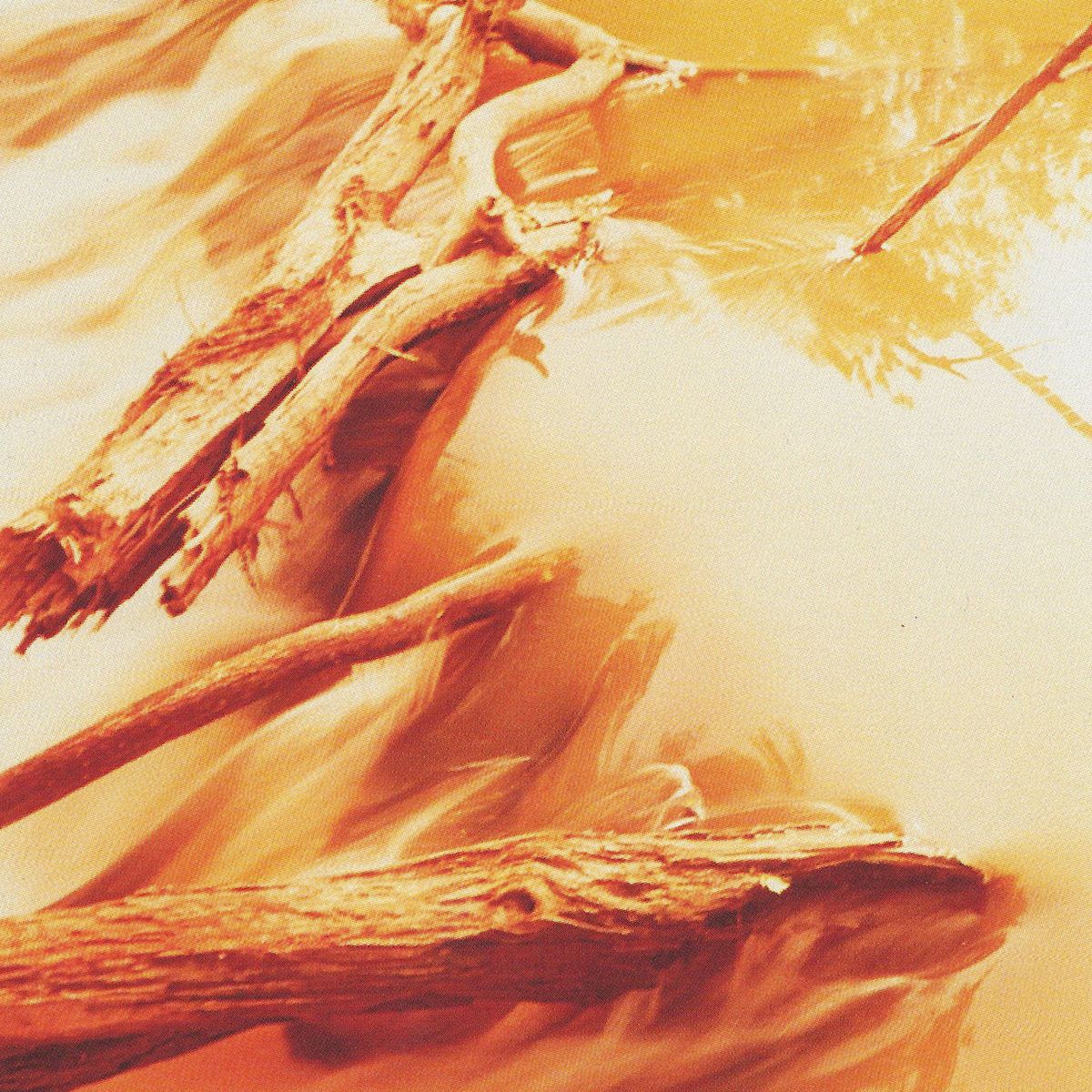 Windy  &  Carl - DEPTHS | Kranky Records (KRANK024LP)