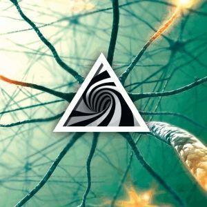 Various - Obs Hs 10 2x12" | Obscur (OBSHS10RP)