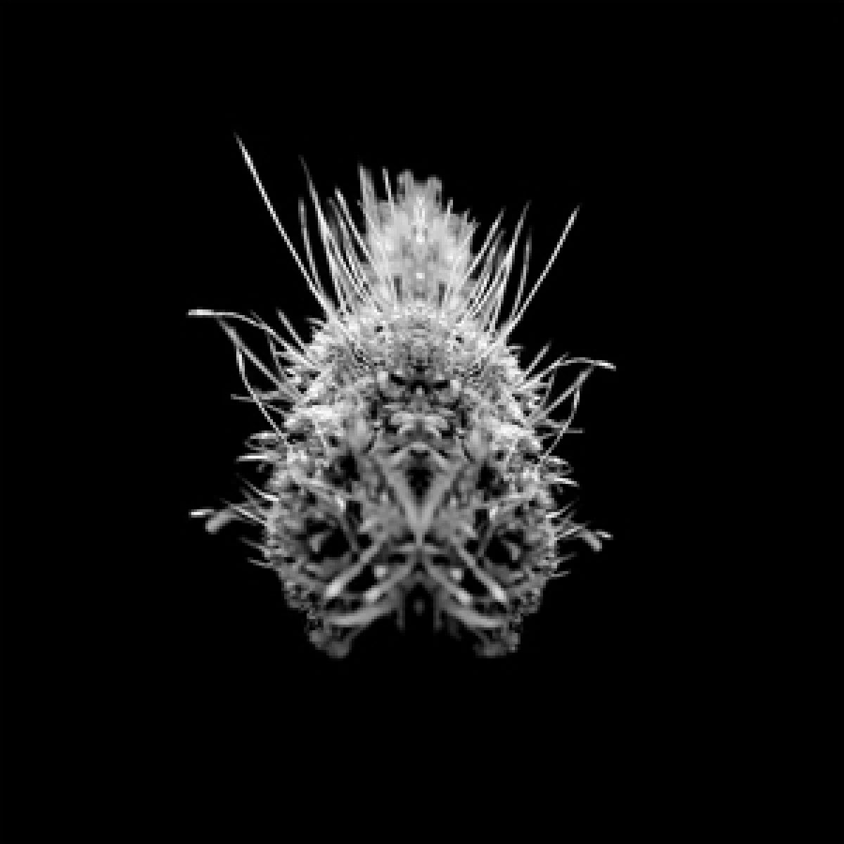 Selm - TIIIER / POST-ADRENALINE | Opal Tapes (OPAL199) - main