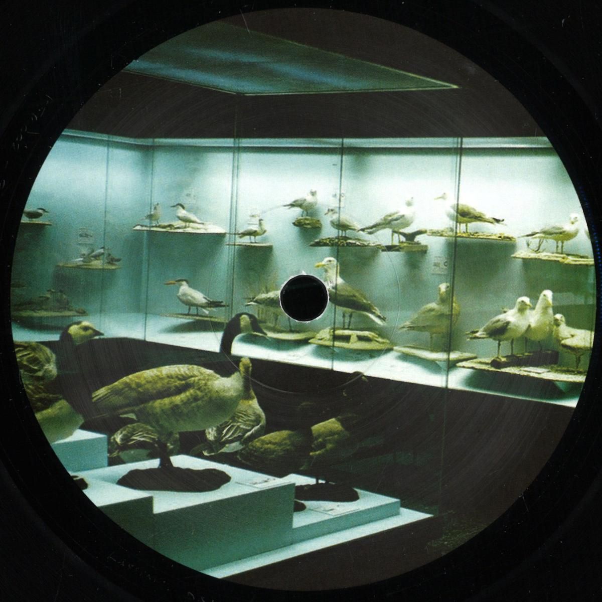 Yogg - Don’t You | Polarized Future (PFR002) - main Yogg - Don’t You | Polarized Future (PFR002) - main