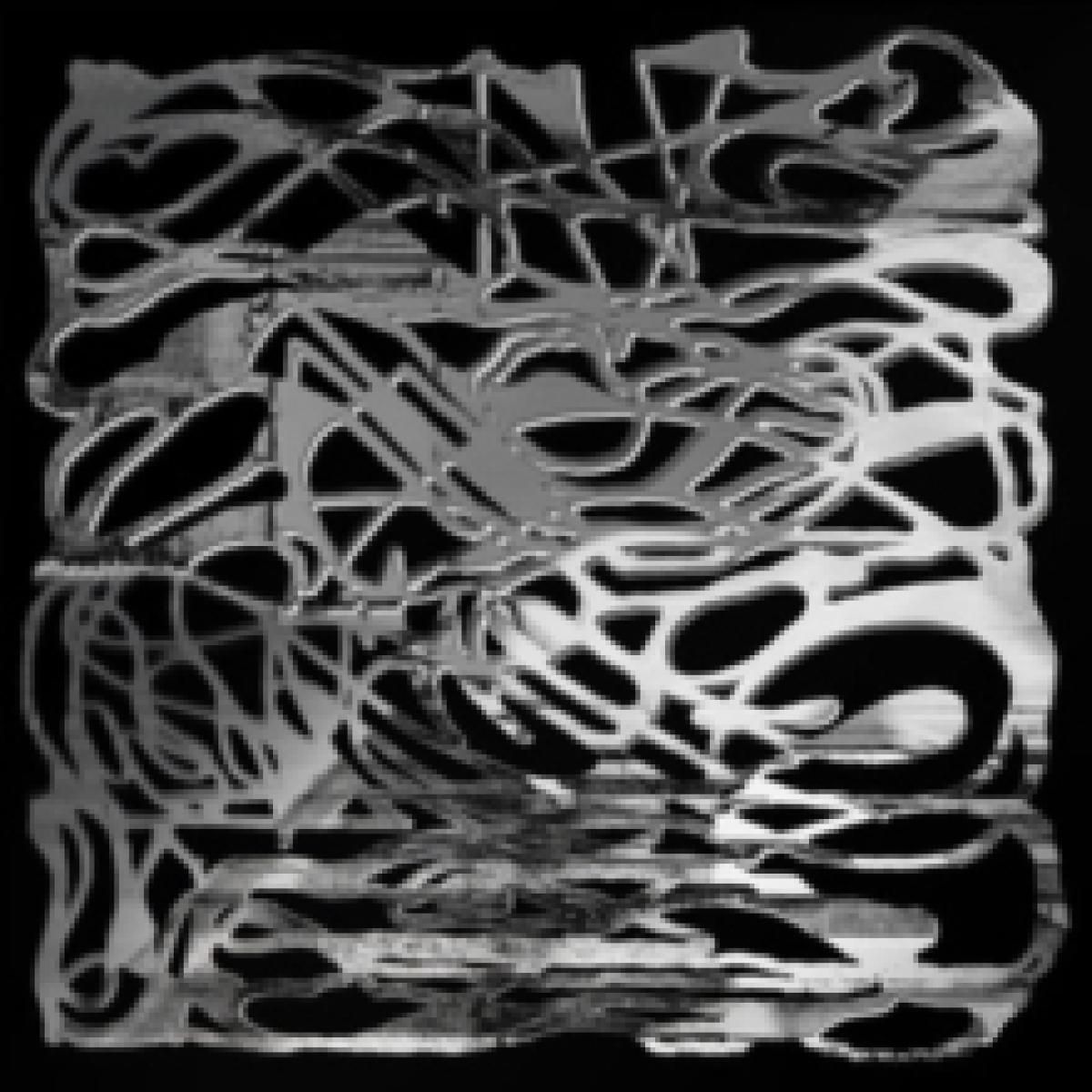 Vanity Productions  &  Ireen Amnes  &  Farzané - An Eternity Still LP | Polymorphism (PM004V) - main