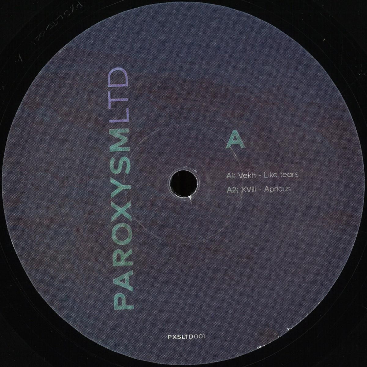  - Like Tears In The Rain - No Cover | Paroxysm (PXSLTD001_NOCOVER) - main