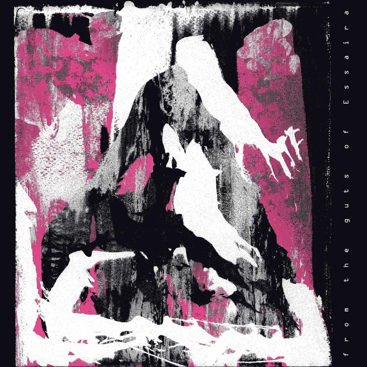 ESSAIRA - FROM THE GUTS OF ESSAIRA LP | Raw Culture (RWCLTR030) - main ESSAIRA - FROM THE GUTS OF ESSAIRA LP | Raw Culture (RWCLTR030) - main