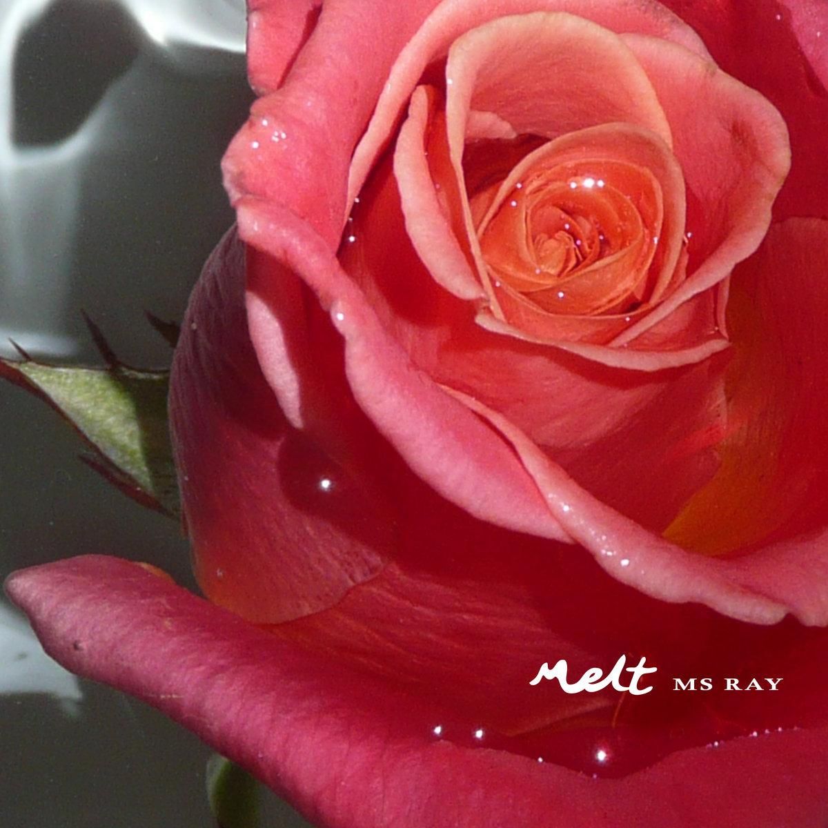 Ms Ray - Melt | Scenic Route Records (SR027) - main