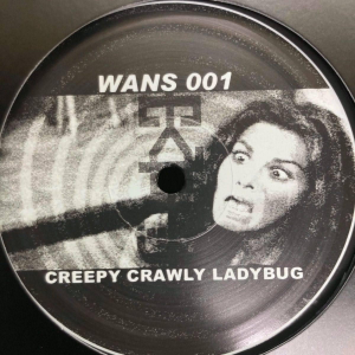 Wans - Creepy Crawly Ladybug | Insanity Cases (WANSLP01) - main Wans - Creepy Crawly Ladybug | Insanity Cases (WANSLP01) - main