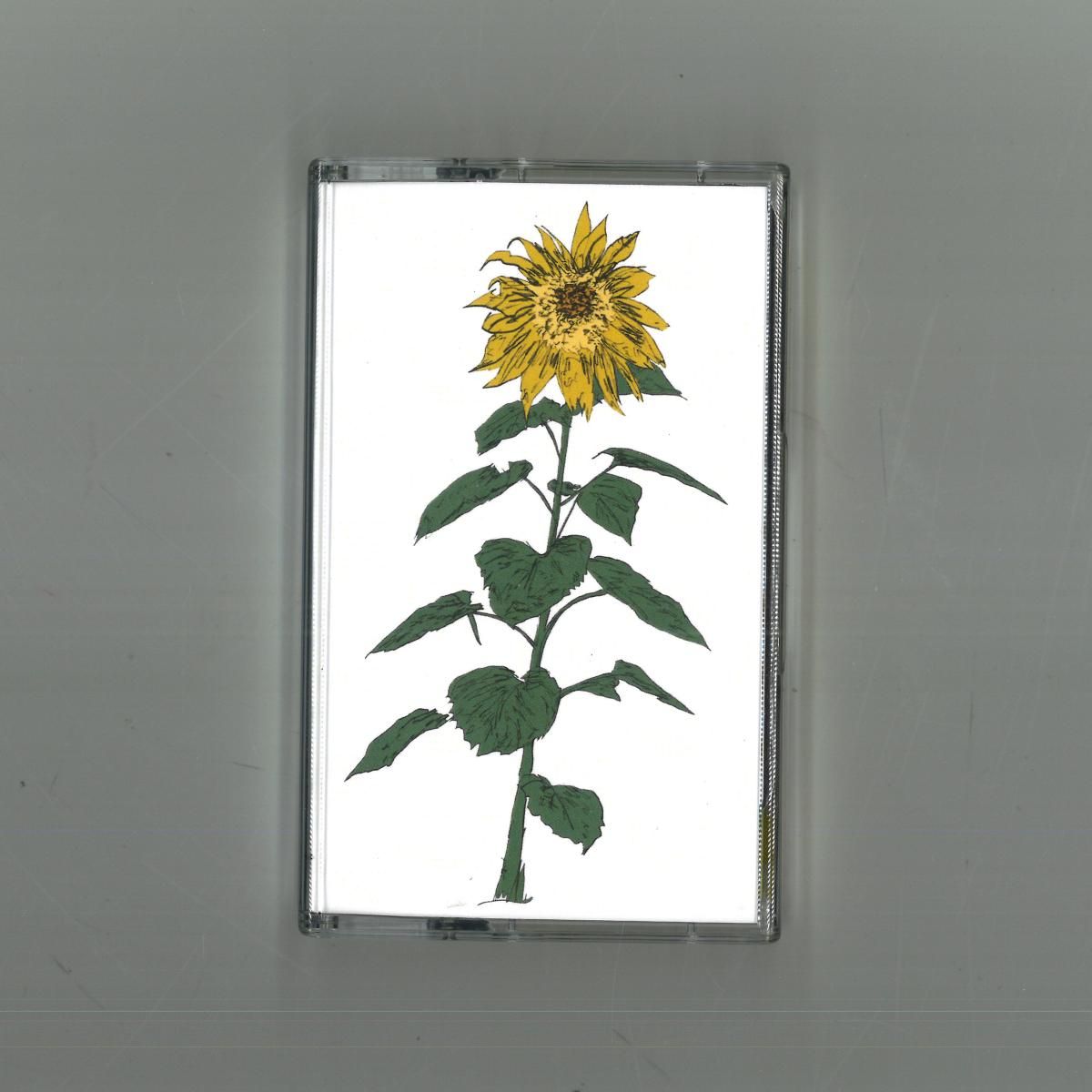 Brian d'Souza  &  Auntie Flo - Music To Watch Seeds Grow By 007: Brian d'Souza (Sunflowers) | Music to Watch Seeds Grow By (WATCHSEEDS007)