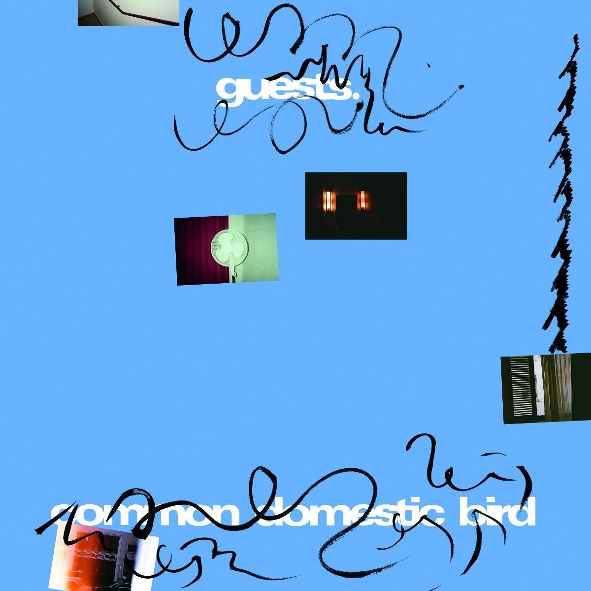 Guests - Common Domestic Bird LP | World Of Echo (WOE026) - main