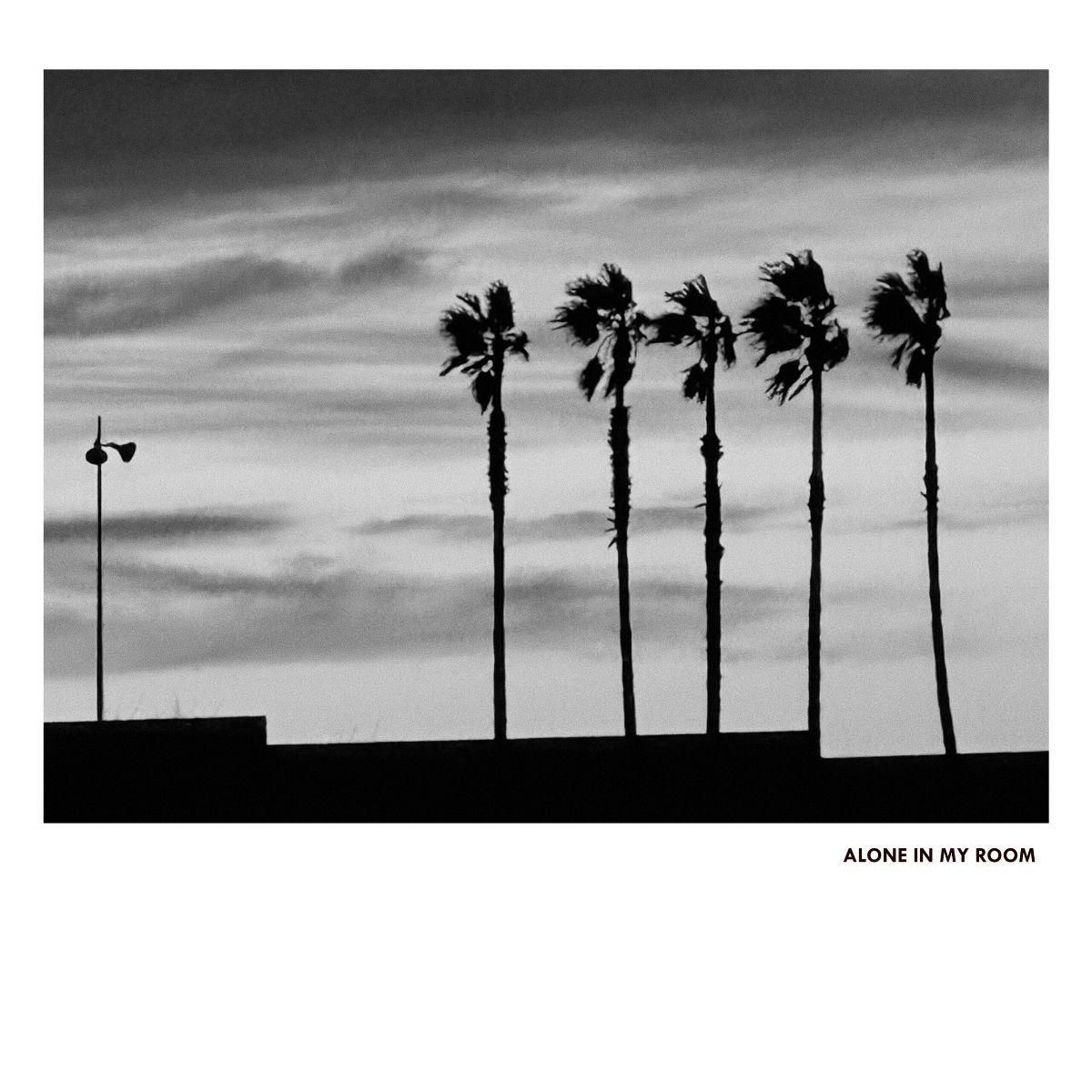 ALONE IN MY ROOM - II LP | Oraculo Records (OR149) ALONE IN MY ROOM - II LP | Oraculo Records (OR149)