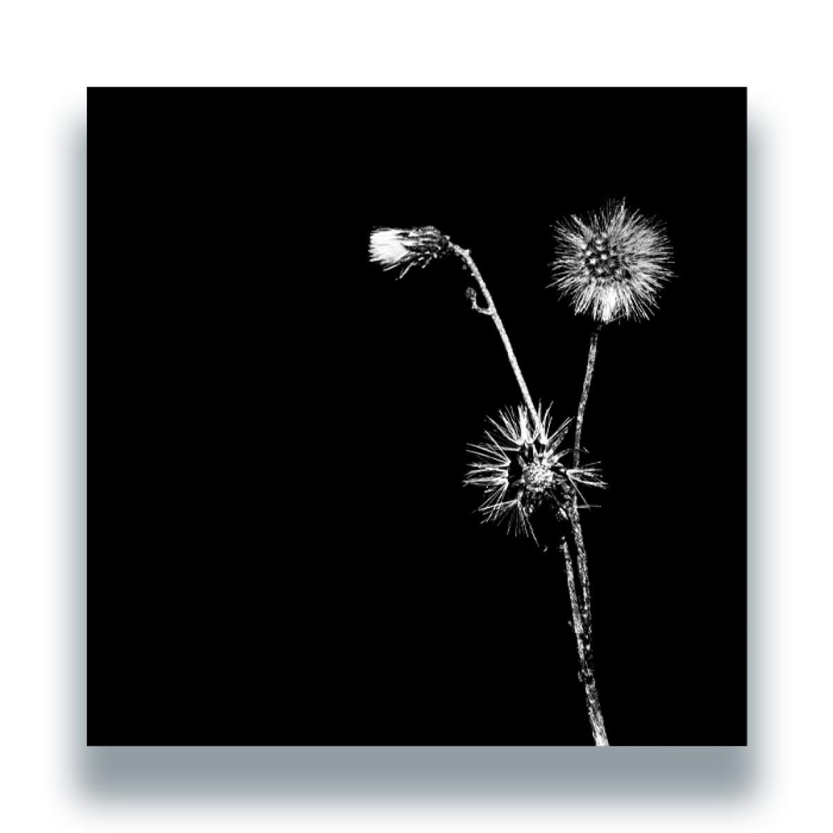 Jon Dasilva  &  Skyskrapa Feat. Donald Waugh - Sun Brings Joy | Hottwerk Records (HTTWRK21312) - main