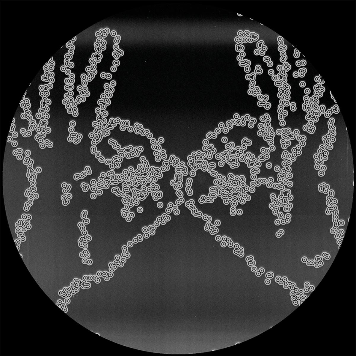 Various - Cartulis Music 15th Anniversary Compilation Part 2 | Cartulis Music (CRTL-SP01.2) - main