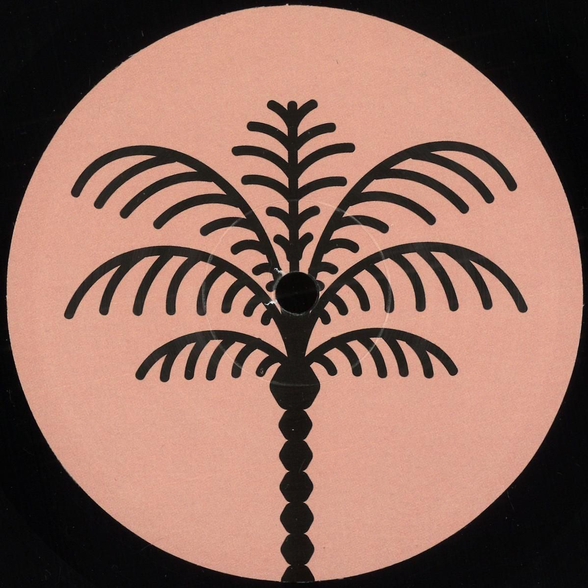 Chavi - Unreleased Data EP | Pampanam Records (PPN005) - main