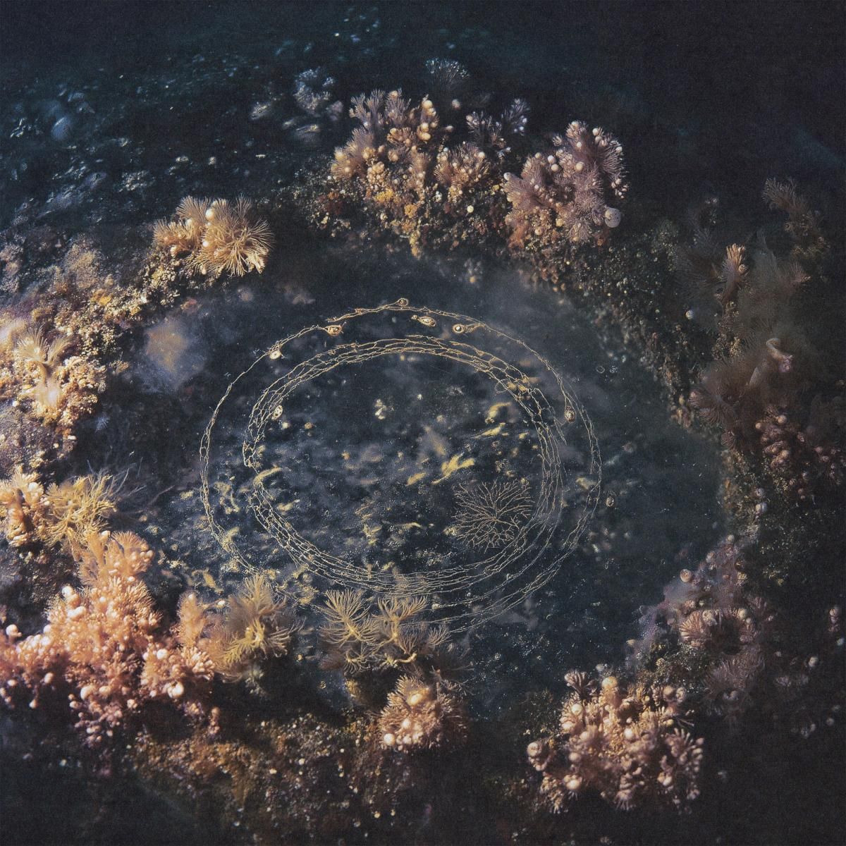 Joline Scheffler - VESICA PISCIS | EXEKUTE (EXE-2) - main