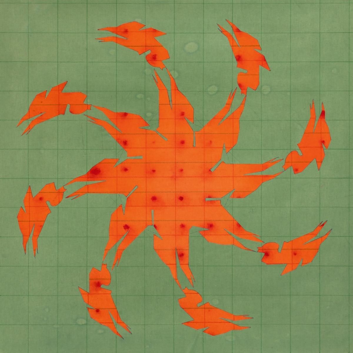 Andy Martin - Tierra de Nahuales | Animalia (ANIMA19) - main