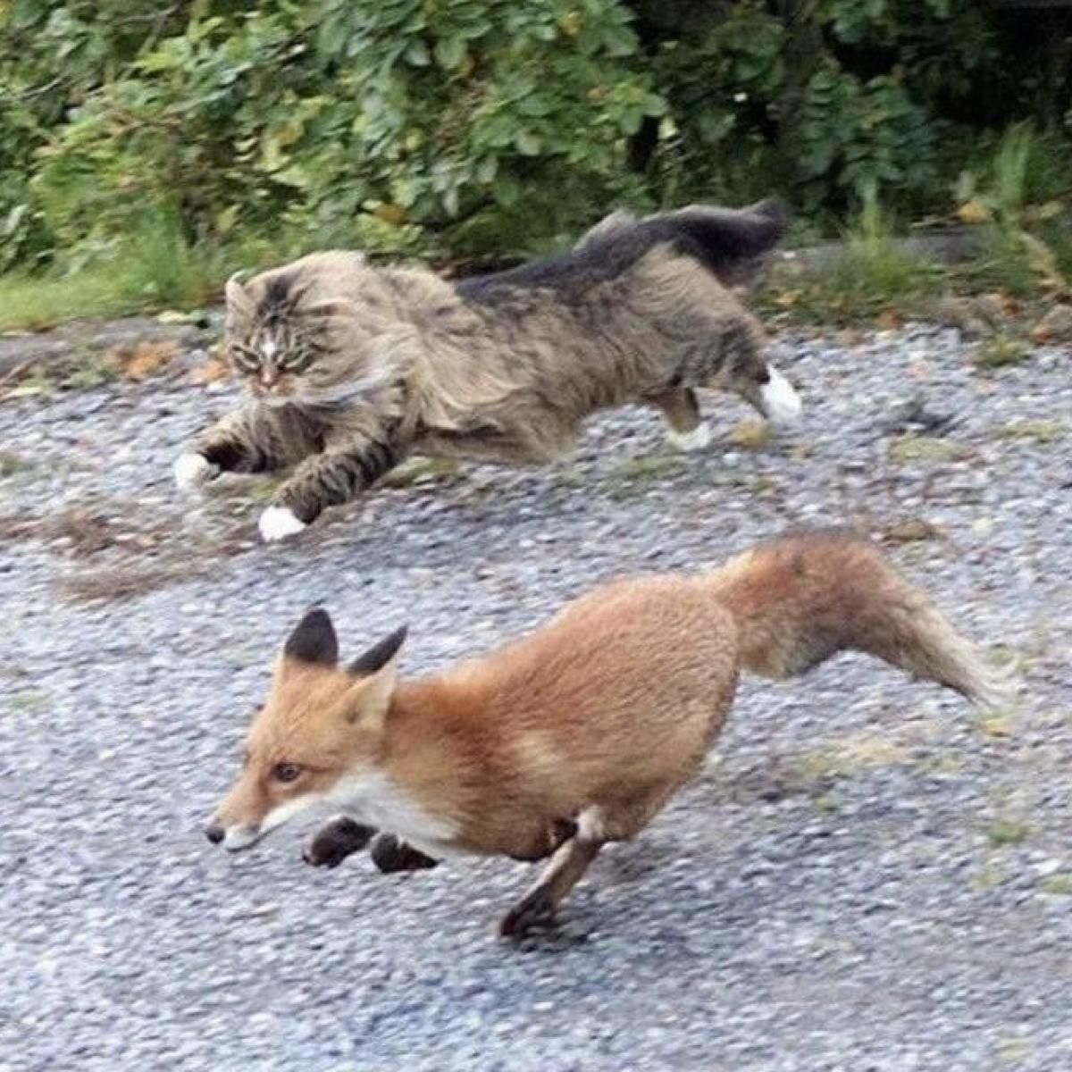 Devon Rexi  &  John T. Gast - Breathstep LP | Accidental Meetings (AM032) - main