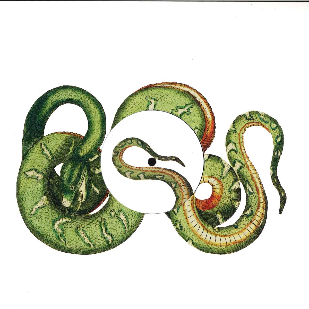 Benjamin Fröhlich - Remixes From Memory Remixes | Permanent Vacation (PERMVAC172-1) - main