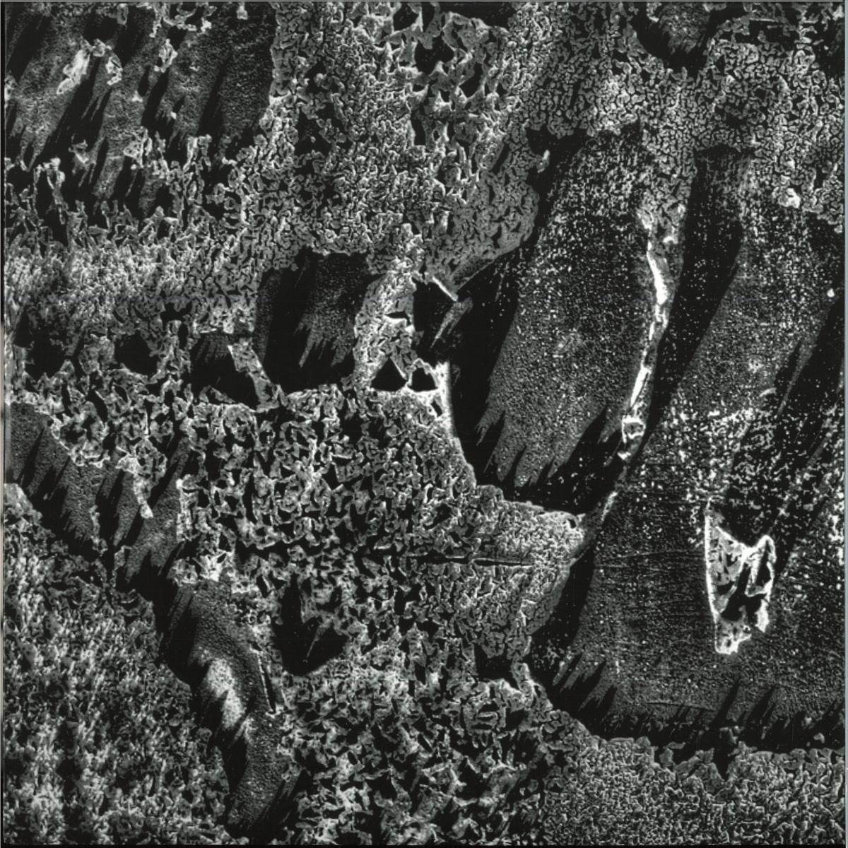 Coaxial System - Institut Night Edt. | Diffuse Reality (DREA024) - main