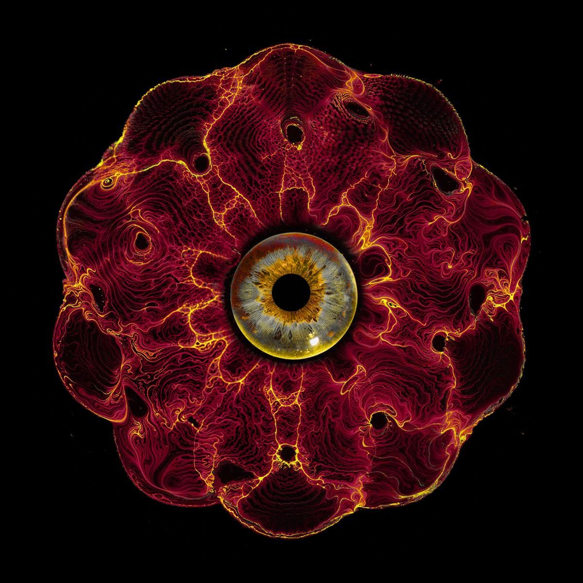 Stefano Testa - SPCWX EP | Lok Records (LOKBLK004) - main