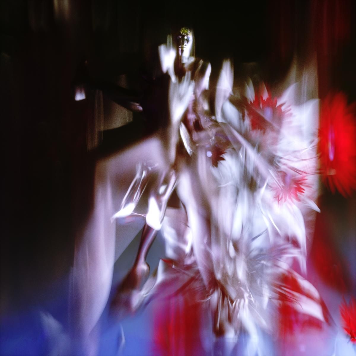 Polygonia - Ceaseless Motion | Timedance (TIMEDANCE038) - main