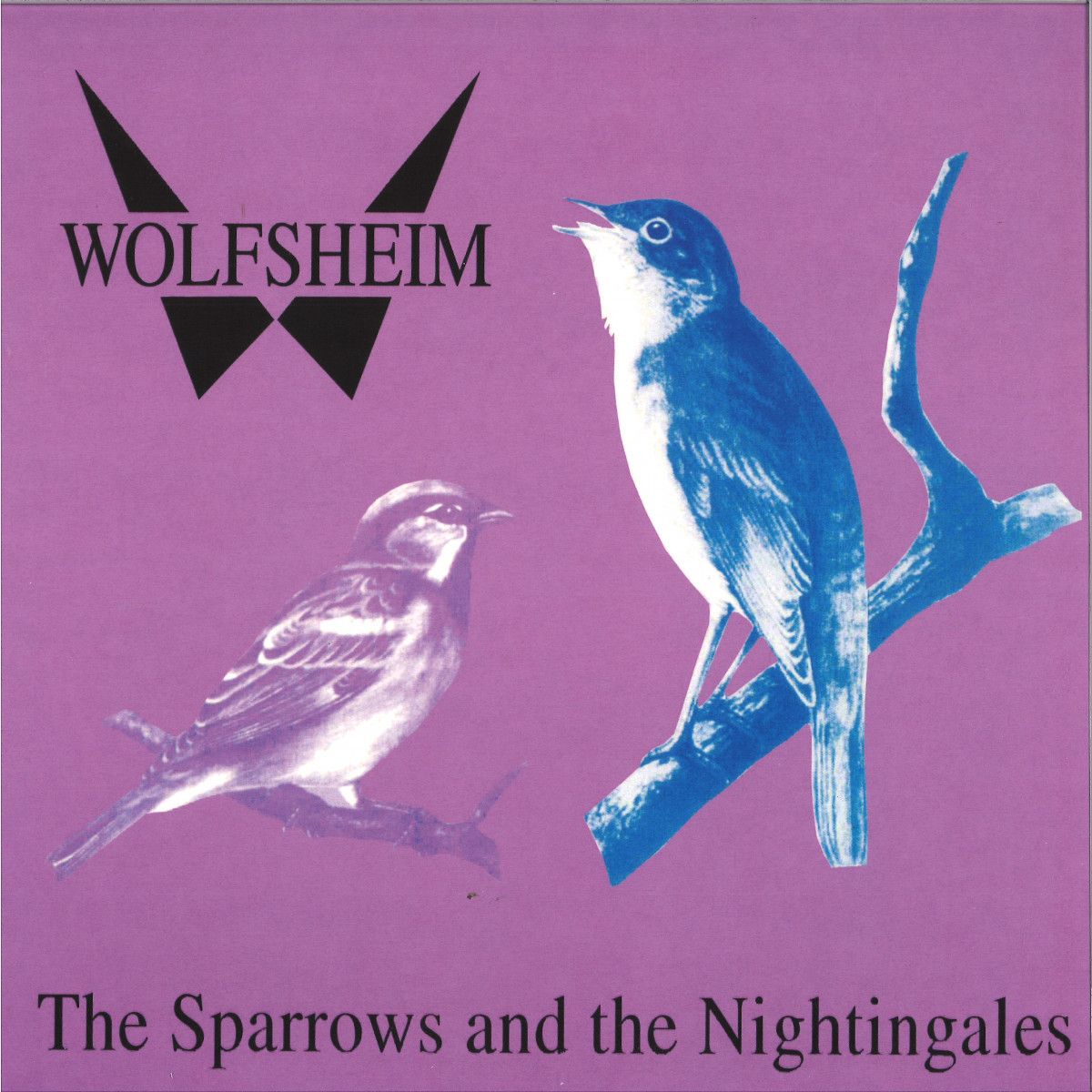 WOLFSHEIM - SPARROWS & NIGHTTINGALES | Basic Mix (BASIX132)