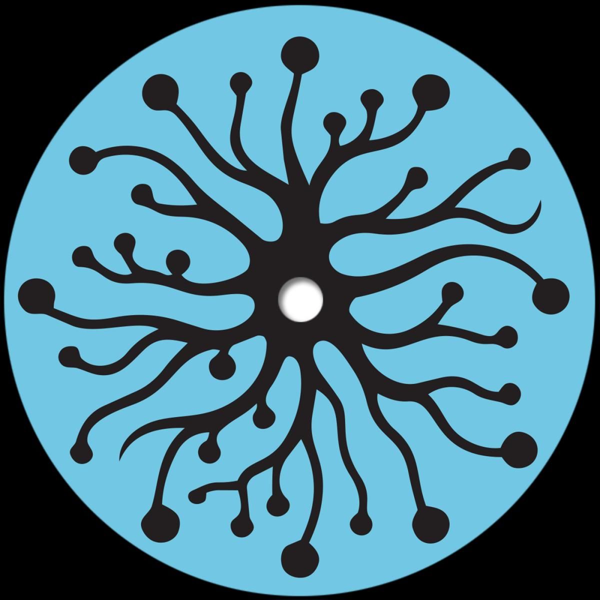 Mattias El Mansouri - Sense Data | Phonica Records (PHONICA044) Mattias El Mansouri - Sense Data | Phonica Records (PHONICA044)