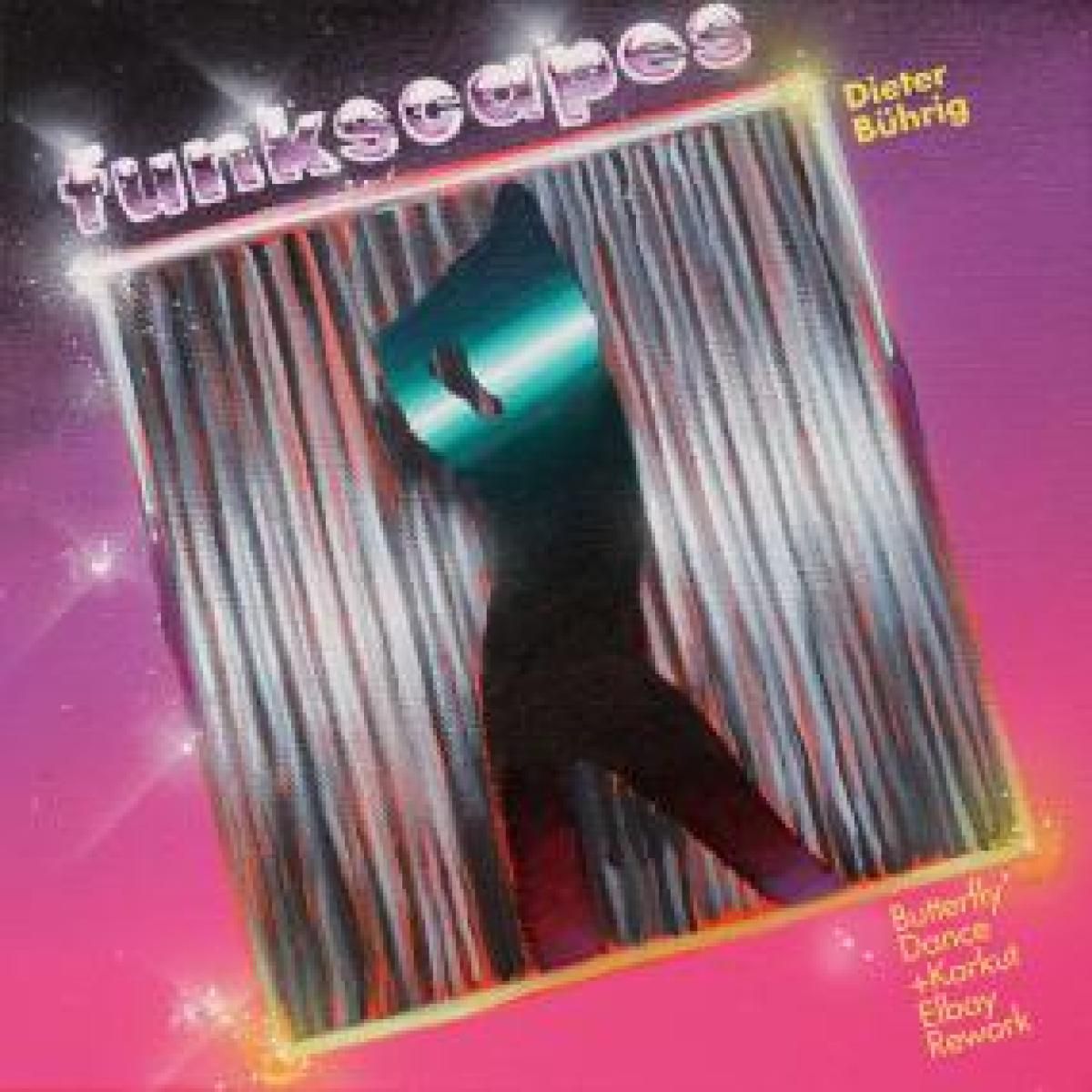 DIETER BÜHRIG - BUTTERFLY DANCE | FUNKSCAPES (FUNKSCAPES013)
